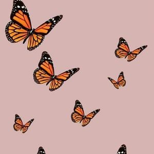 Meet your Posher, Angel